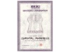 Urkunge Reiki2