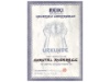 Urkunde Reiki1